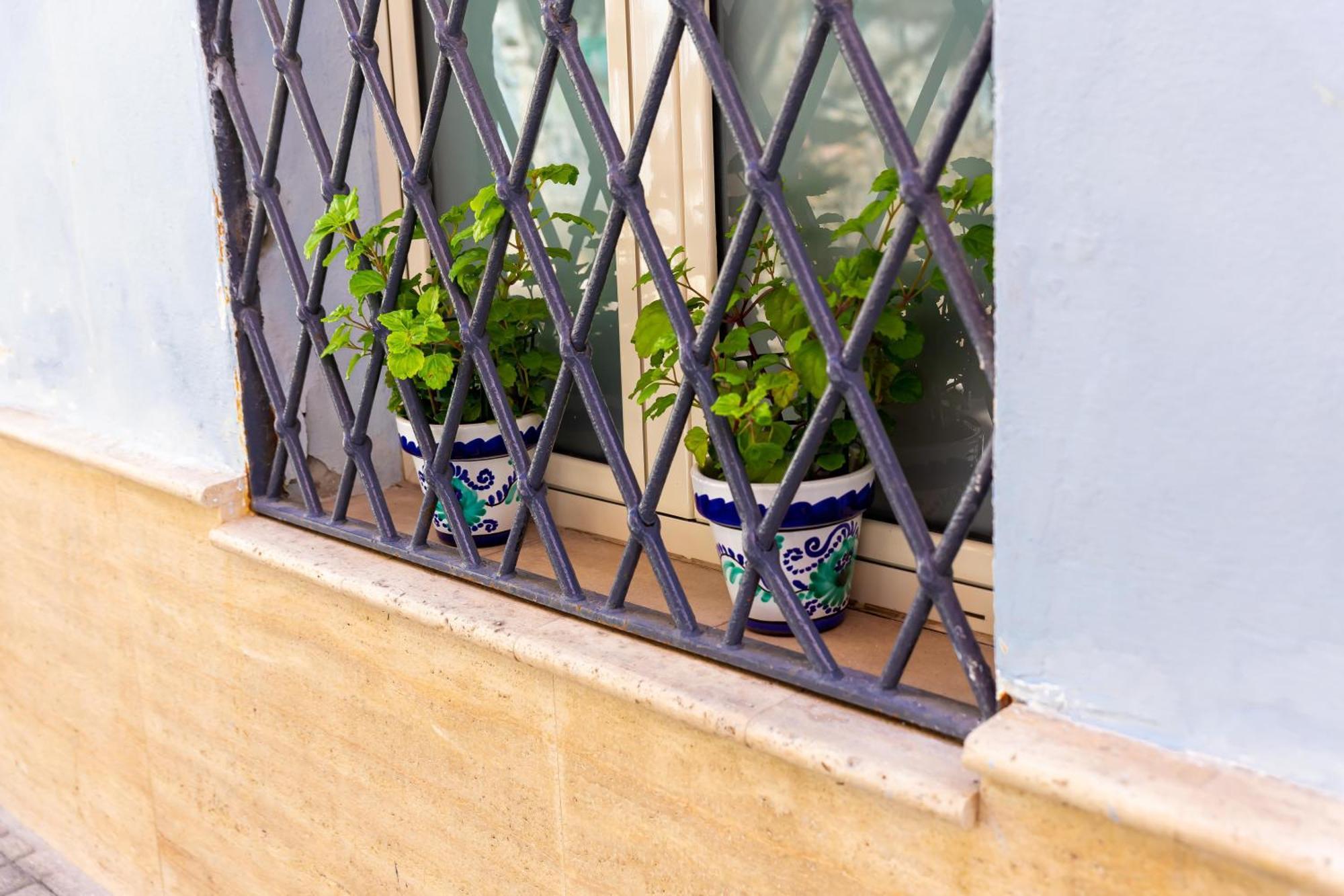 Theodora Chica 1 Málaga Exterior foto